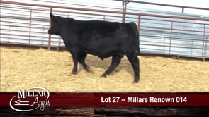 Lot #27 - MILLARS RENOWN 014