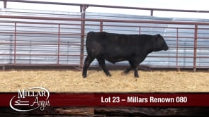 Lot #23 - MILLARS RENOWN 080