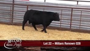Lot #22 - MILLARS RENOWN 028