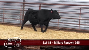 Lot #18 - MILLARS RENOWN 025