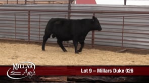 Lot #9 - MILLARS DUKE 026