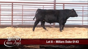 Lot #8 - MILLARS DUKE 0143