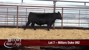 Lot #7 - MILLARS DUKE 092