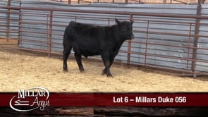 Lot #6 - MILLARS DUKE 056