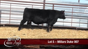 Lot #5 - MILLARS DUKE 007