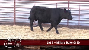 Lot #4 - MILLARS DUKE 0130