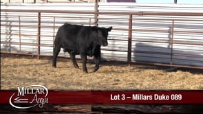 Lot #3 - MILLARS DUKE 089