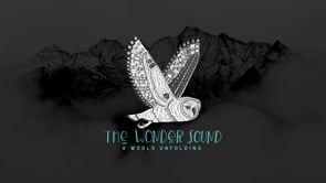 The Wonder Sound : A World Unfolding (Full Film)