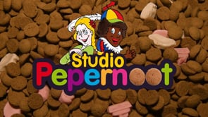 Studio Pepernoot 2017 - aflevering 6 - 27 november 2017