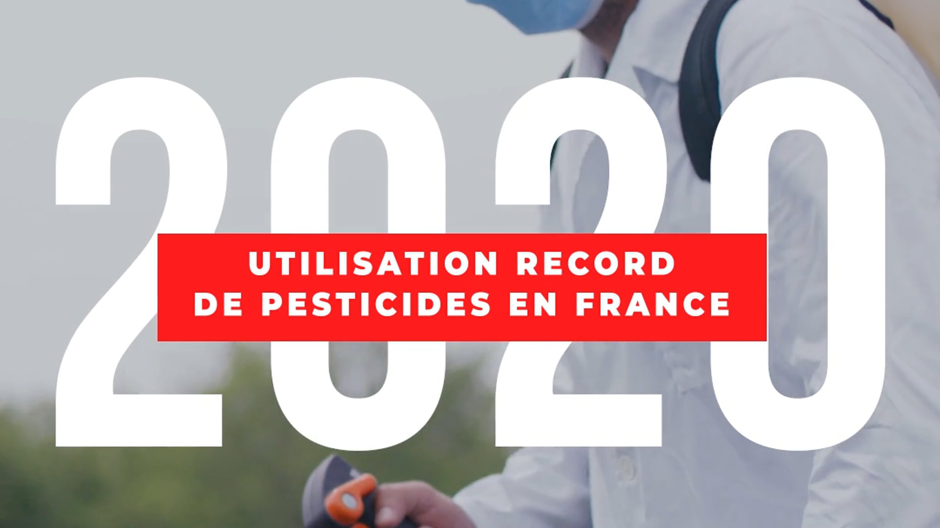 Pesticides en France