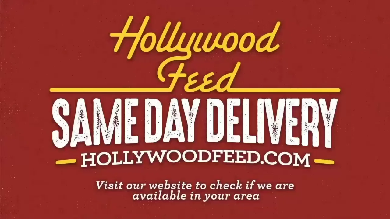 Hollywood feed hot sale website