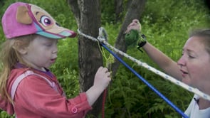 The spider catcher thumbnail