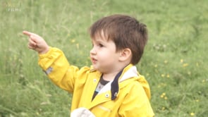Looking at ladybirds thumbnail