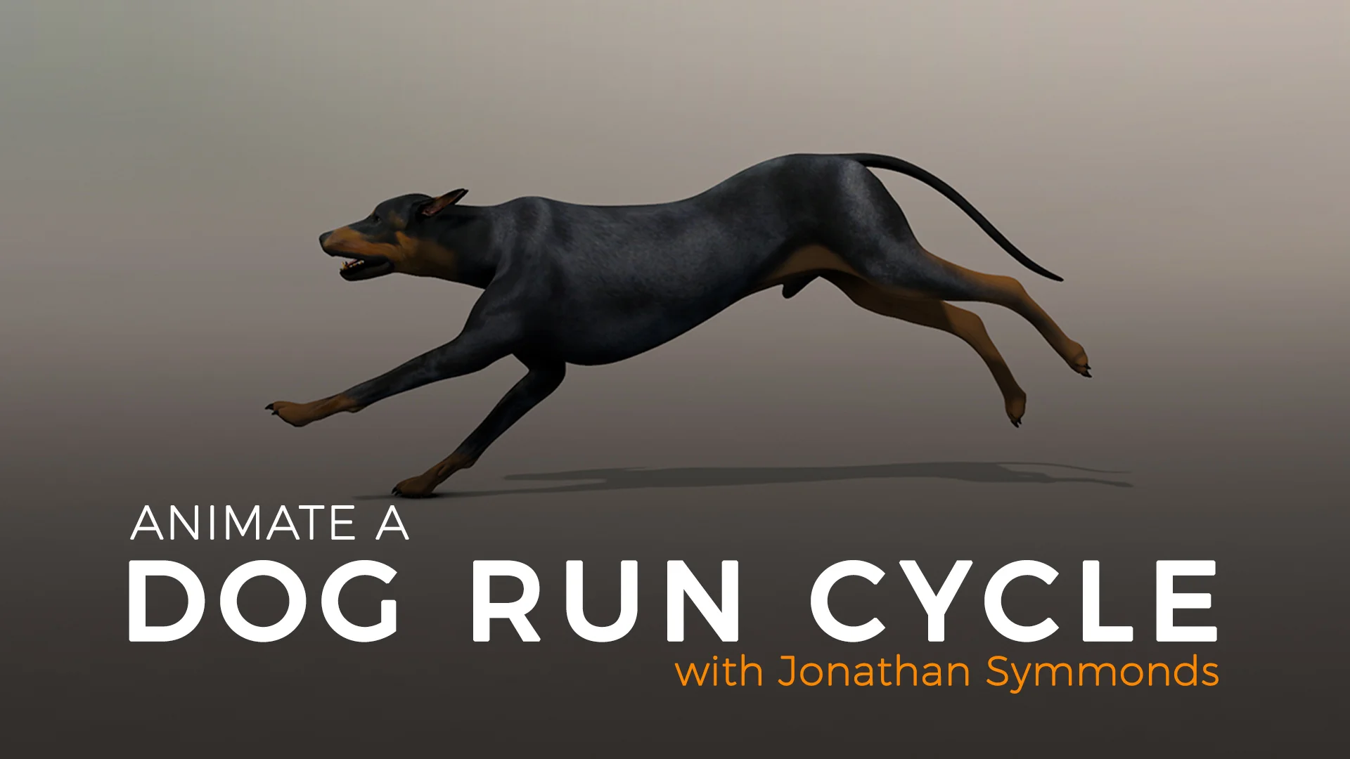 dog running animation