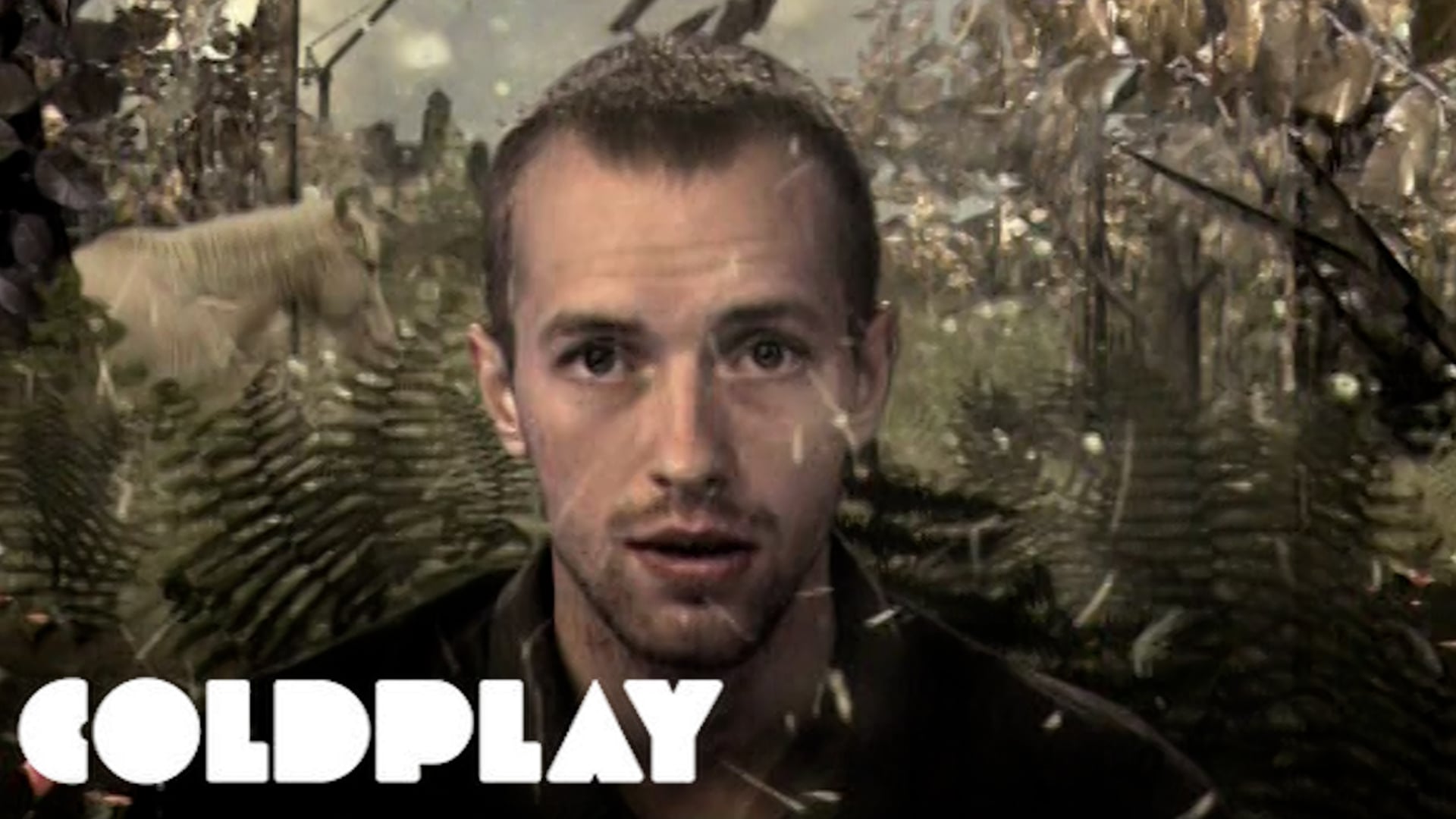 Coldplay "Trouble"