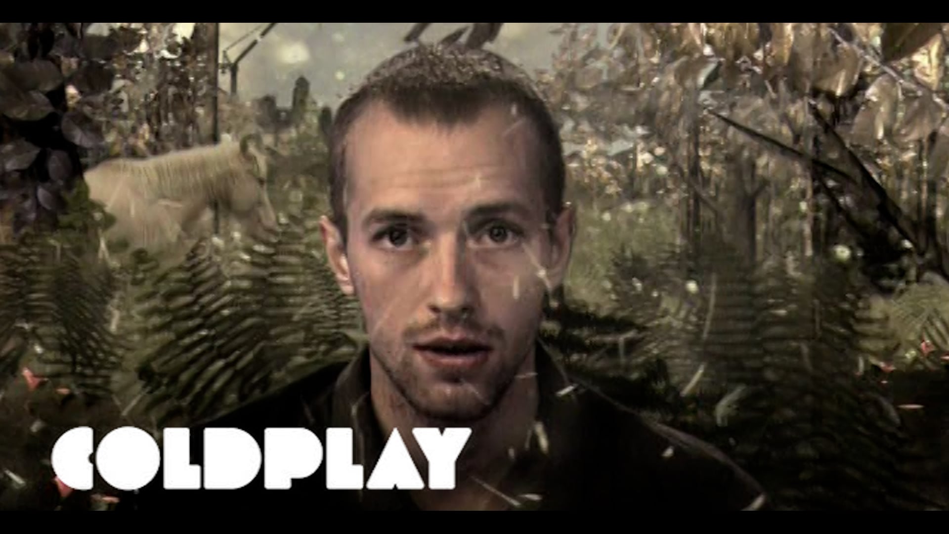 Coldplay "Trouble"