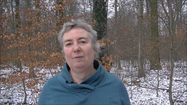 bedürfnisorientiertes Denken