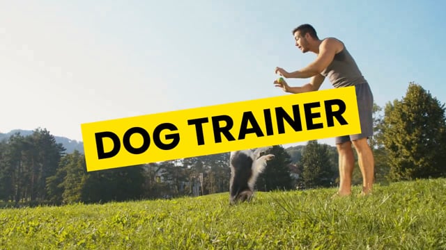 Dog trainer video 2
