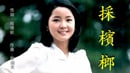 小城故事 - 鄧麗君 on Vimeo