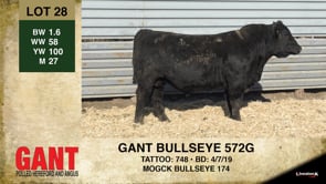 Lot #28 - GANT BULLSEYE 572G