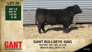 Lot #29 - GANT BULLSEYE 458G