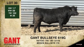 Lot #30 - GANT BULLSEYE 619G