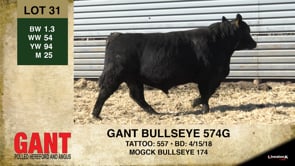 Lot #31 - GANT BULLSEYE 574G