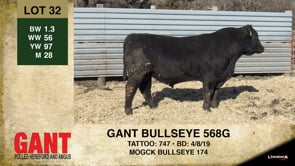 Lot #32 - GANT BULLSEYE 568G