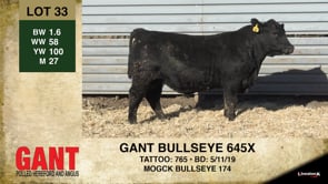 Lot #33 - GANT BULLSEYE 645X