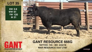 Lot #35 - GANT RESOURCE 666G