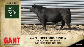 Lot #36 - GANT RESOURCE 645G