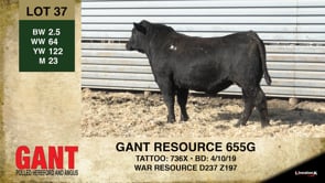 Lot #37 - GANT RESOURCE 655G