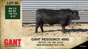 Lot #40 - GANT RESOURCE 489G