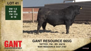 Lot #41 - GANT RESOURCE 665G