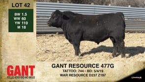 Lot #42 - GANT RESOURCE 477G