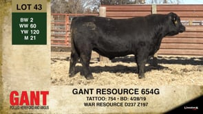 Lot #43 - GANT RESOURCE 654G