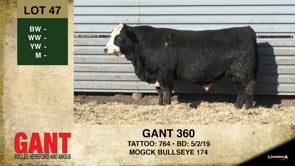 Lot #47 - GANT 360