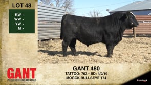 Lot #48 - GANT 480