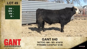 Lot #49 - GANT 640
