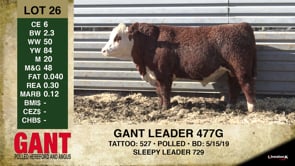 Lot #26 - GANT LEADER 477G