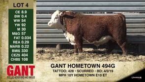 Lot #4 - GANT HOMETOWN 494G