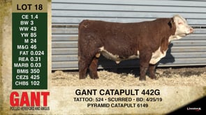 Lot #18 - GANT CATAPULT 442G