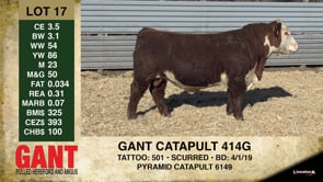 Lot #17 - GANT CATAPULT 414G