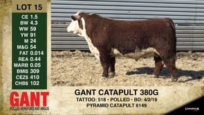 Lot #15 - GANT CATAPULT 380G
