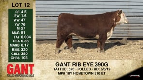Lot #12 - ** OUT ** GANT RIB EYE 390G