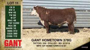 Lot #11 - GANT HOMETOWN 378G