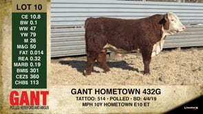 Lot #10 - GANT HOMETOWN 432G