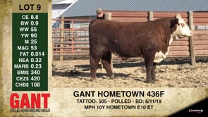 Lot #9 - ** OUT ** GANT HOMETOWN 436F