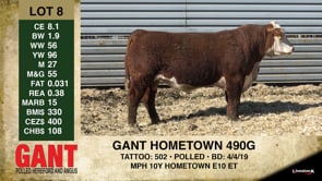 Lot #8 - GANT HOMETOWN 490G