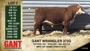 Lot #7 - ** OUT ** GANT WRANGLER 372G
